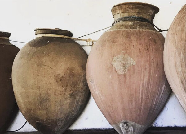 MonoCiclo 2020 - Amphora - Red - Image 2