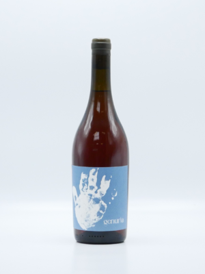 Genuria Wine Rose